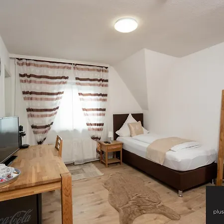 Baeren Guest house *